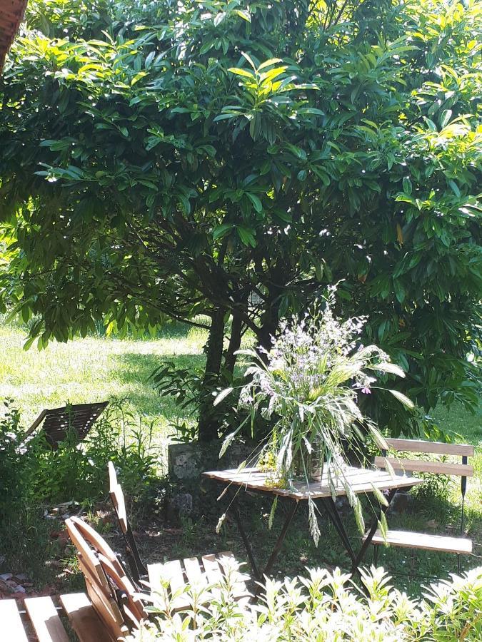 L'Escale Cote Jardin Villa Saint-Laurent-de-Medoc Kültér fotó