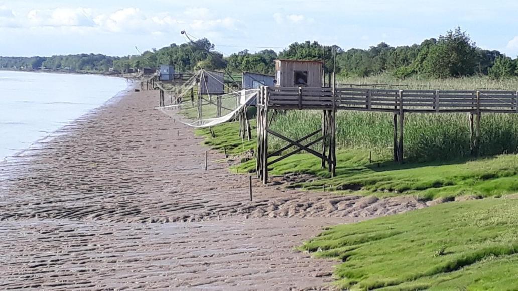 L'Escale Cote Jardin Villa Saint-Laurent-de-Medoc Kültér fotó